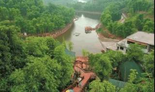 在你心之所向的地方 在你心之所向的地方