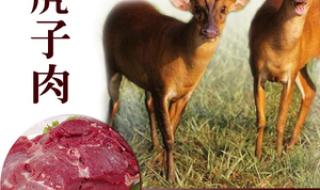 狍子肉咋做好吃