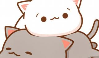 情侣t恤图案 情侣t恤图案