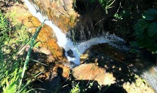去中山市五桂山玩要门票吗!里面好玩不!有那些好玩的地方 中山五桂山