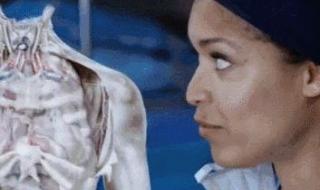 海默肖恩写的书 海默肖恩激光眼图片