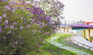 哈尔滨全面解封时间 哈尔滨全面解封时间