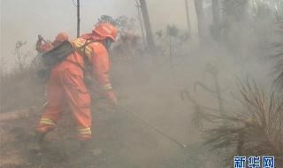 三屏壁纸快捷指令怎么添加苹果14 ios14快捷指令大全