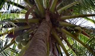 南海中建岛加速建设 南海中建岛加速建设