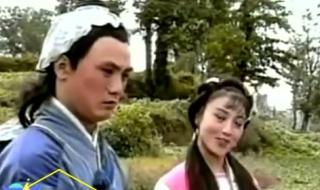 黄梅戏天仙配韩再芬 黄梅戏天仙配韩再芬